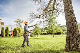 How Our Tree Care Process Works  in  Freemansburg, PA